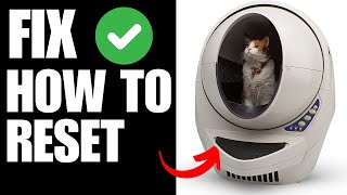 How to Hard Reset Whisker Litter Robot 3 [upl. by Norita560]