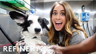 I Learned How To Be A Professional Dog Groomer  Lucie For Hire  Refinery29 [upl. by Aracaj]