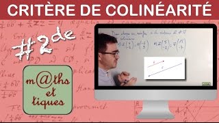 Appliquer le critère de colinéarité  Seconde [upl. by Araes]