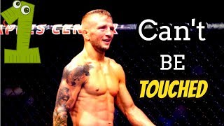 TJ dillashaw  Cant Be Touched Highlights 2019 [upl. by Hafler]