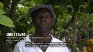 Life on a Fairtrade Cocoa Farm [upl. by Surad]