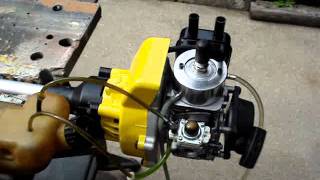 Modified 30cc  Homelite engine [upl. by Kyte584]