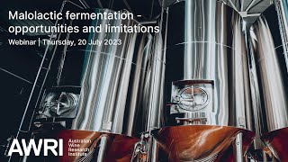 Malolactic fermentation opportunities and limitations [upl. by Noyr714]