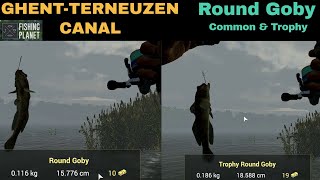 Fishing Planet GhentTerneuzen Canal Netherlands Round Goby Common amp trophy [upl. by Utimer]