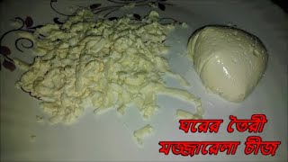 ঘরের উপকরণ দিয়েই বানিয়ে ফেলুন পারফেক্ট মজারেলা চীজ  how to make mozzarella cheese in bengali [upl. by Blount]