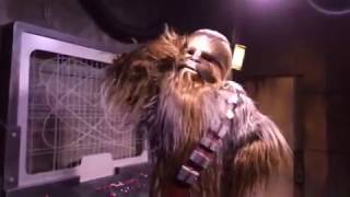 Chewbacca at Disney Hollywood Studios Meeting [upl. by Giltzow]