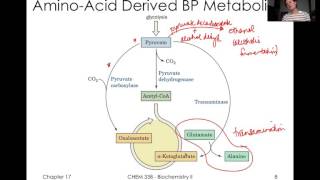 TCA Cycle Reguation and Glyoxylate Cycle [upl. by Filler]