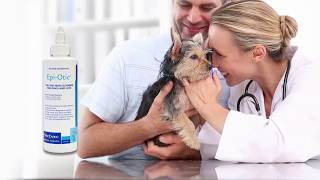 Maintaining the health of your dogs ears [upl. by Mellisa]