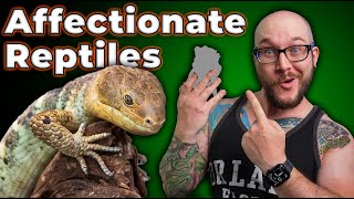 THE MOST AFFECTIONATE REPTILES Reptiles That Love You Back [upl. by Dorraj23]