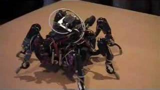 Hexapod Robot visits Weta Workshop [upl. by Samford]