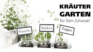 DIY  Leckerer Kräutergarten für dein Zuhause [upl. by Aneetsirhc]