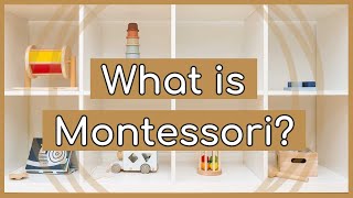 What is Montessori Education  The Montessori Method [upl. by Erinna]