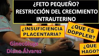 PROBLEMAS DE CRECIMIENTO FETAL POR GINECOLOGA DIANA ALVAREZ [upl. by Adil121]