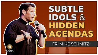 Subtle Idols and Hidden Agendas  Fr Mike Schmitz  2022 St John Bosco Conference [upl. by Hakceber305]