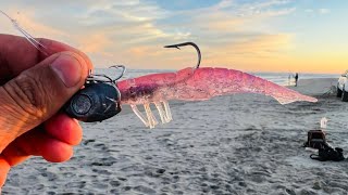 PESCA DE CABRILLAS CON DOA EN LA ISLA DE LA PIEDRA [upl. by Buford]