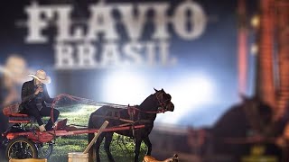 CAVALO MEME  LIVE DO CAVALO CORRENDO [upl. by Joellen254]