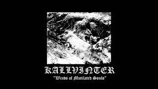 Winds of Mutilated Souls  Kallvinter Single 2024 [upl. by Arateehc]