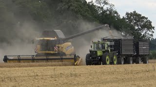 NEW HOLLAND CR 8080 am Gerste dreschen  VALTRA T215 amp MB trac 1800  Ernte 2024  SOUND 4K [upl. by Icnarf951]