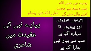 noor e muhumedsalam ya mustafadarood o salamnaat poetry [upl. by Rellia]