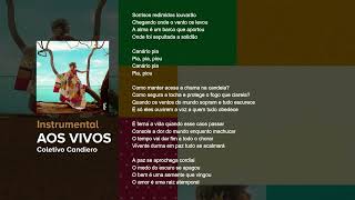 Coletivo Candiero  Aos Vivos Instrumental  Playback [upl. by Halilak423]