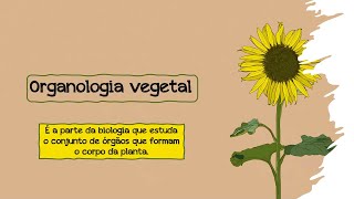 Organologia Vegetal  Botânica  Biologia [upl. by Zigmund270]