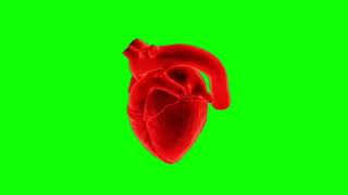 Green Screen Heart Beating greenscreen heart [upl. by Kusin]