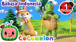 Lomba Lari Kelinci dan Kurakura  CoComelon Bahasa Indonesia  Lagu Anak Anak  Nursery Rhymes [upl. by Pellet]