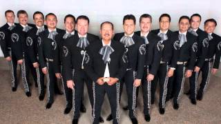 quotMIXquot VIVA VERACRUZ AL SON DE VERACRUZ 1 2 3  MARIACHI VARGAS DE TECALITLAN [upl. by Ahseyn743]