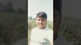 Hu jato godi kamma dashratthakor2024nusong song newvideosong gujaratilovesong [upl. by Lauder]