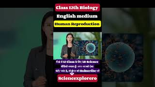 Human Reproduction  Class 12th  Biology neet cbse ncert [upl. by Ybreh]