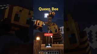 Minecraft  Queen Bee [upl. by Eihpos]