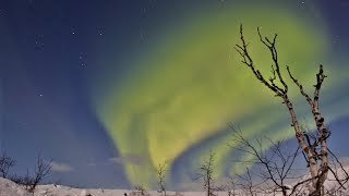 Kiruna  Tromso  Skjervoy  Northern Lights Abisko  Husky Rides [upl. by Eirrotal325]