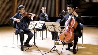 Brahms quotPiano Trio No 1OriginalVersionquot Trio Opus 8 [upl. by Iaverne]