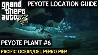 Peyote Location 6 • Pacific OceanDel Perro Pier • GTA 5 PC [upl. by Amie]