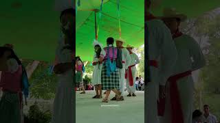 Tradiciones fiesta oaxaca mixteca tradiciones guelaguetza pueblo danza [upl. by Ynatsyd716]