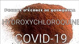 LÉCORCE DE QUINQUINA ET HYDROXYCHLOROQUINE covid19 coronavirus [upl. by Elberfeld]