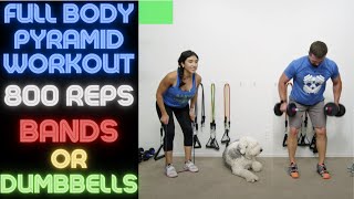 RB DB Mix 31  Day 9 Full Body Pyramid Workout  800 Rep Workout [upl. by Repsihw]