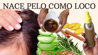 MEZCLA ESTO EN TU SHAMPOO Y TU CABELLO NO PARARÁ DE CRECER [upl. by Ragas]