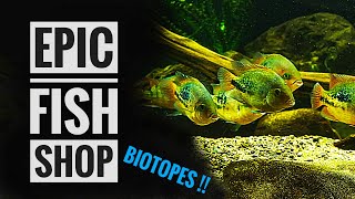 The BEST BIOTOPE specialist SHOP  Panta Rhei [upl. by Nomihs395]