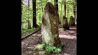 Ravensdale Stone Circle Louth Ireland heritage history ireland irlanda [upl. by Hanid260]