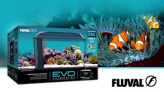 Sea Life Differently  Fluval Evo 135 Saltwater Aquarium Kit [upl. by Va]