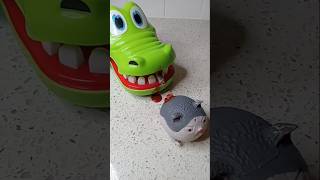 Poor kitten 😢 cat meaw memes satisfying funny squishy toyscat [upl. by Tanhya]