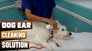 Best Dog Ear Cleaning Solutions in 2024 Top 10 Picks [upl. by Kayle521]