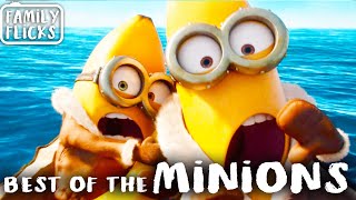 The ULTIMATE Best Of The Minions  Minions 2015 amp Despicable Me 2010  Family Flicks [upl. by Berstine64]