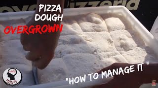 HOW TO USE NEAPOLITAN PIZZA DOUGH OVER GROW [upl. by Arekahs]