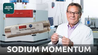 Prof Stefano Passerini  SodiumIon Batteries gain Momentum  Battery Podcast [upl. by Ynor]