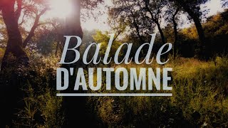 Balade dAutomne 🍂 [upl. by Carlina950]