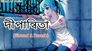 Dipannita Lyrics Song  Tarif amp Shifat  Slowed  Reverb  দীপান্বিতা  Sad lofi [upl. by Inahteb]