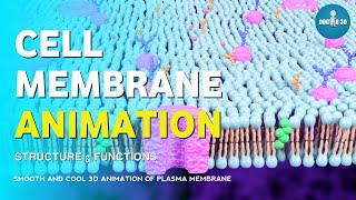 Cell Membrane Animation  Structure and Functions of Plasma Membrane  Doctor 3D [upl. by Aekim]