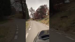 Amazing autumn drive through the forest [upl. by Chambers489]